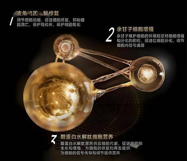 外汇市场瞬息万变，我怎样把握今日实时行情？
